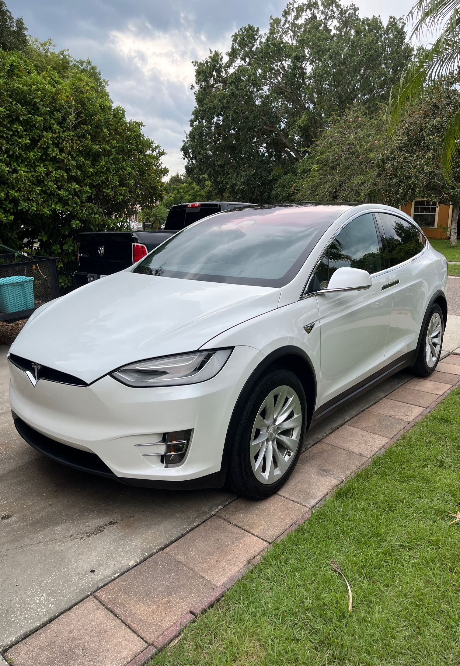 White Tesla detailed and protected